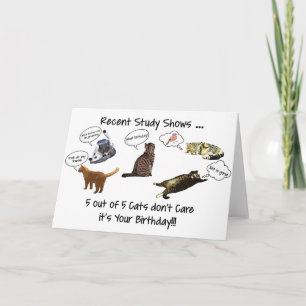 Funny Cats Birthday Greeting Card 