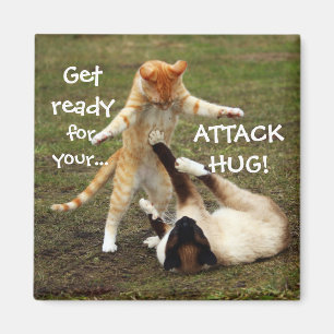 Funny Cats Caption Attack Hug Magnet