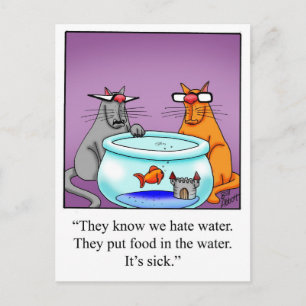 Funny Cats Cartoon Gift! Postcard