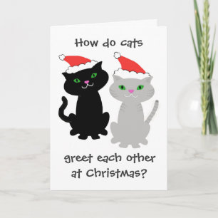 Funny Cats Christmas Card