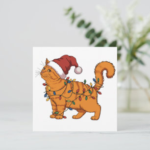 Funny Cats Christmas Orange Cat Mom Pet Lover Xmas Holiday Card