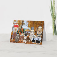 Funny Cats/Dogs/Labs as Pilgrims and Indians