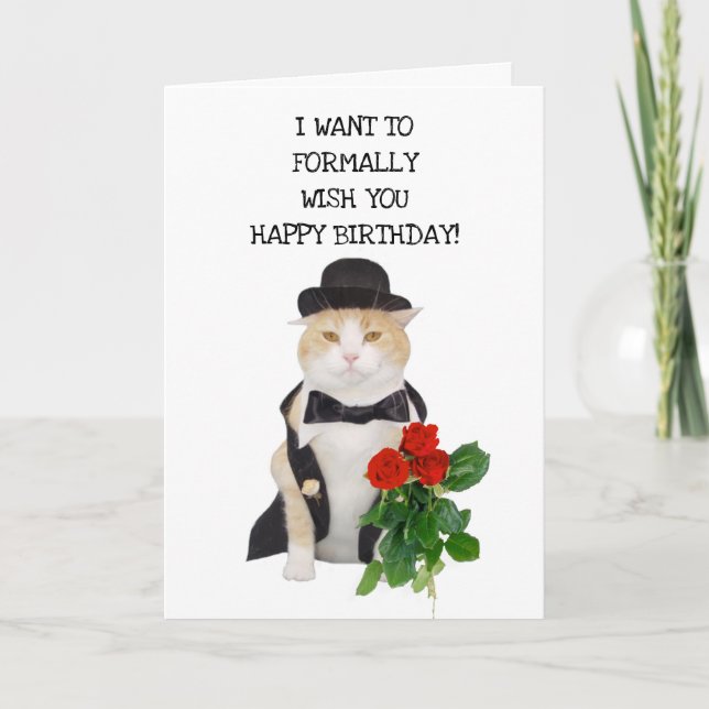 Funny Cats Formal Birthday Wishes Card (Front)