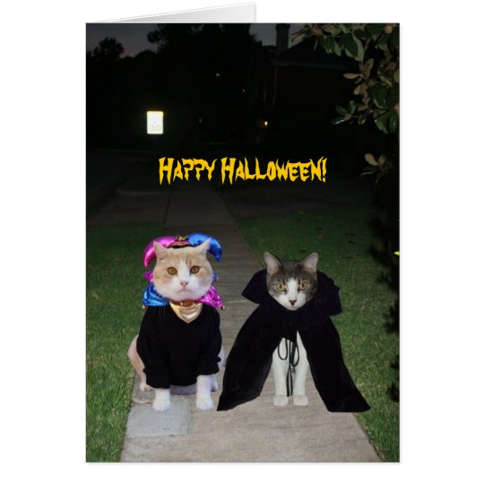 Funny Cats Halloween Card