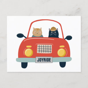 Funny Cats Joyride in Cat Car Postcard
