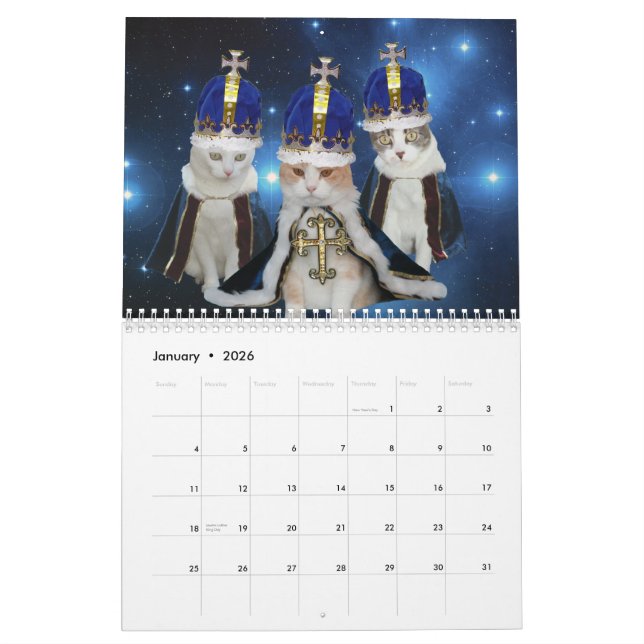 Funny Cats/Kitties Calendar (Jan 2026)