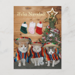 Funny Cats/Kitties Feliz Navidad Holiday Postcard