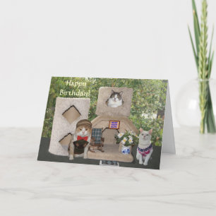 Funny Cats/Kitties Happy Birthday from Our House Card