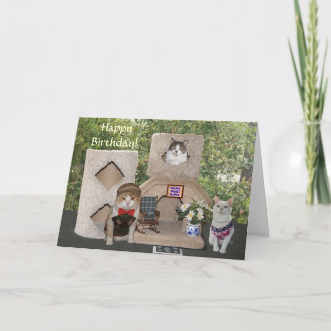 Funny Cats/Kitties Happy Birthday from Our House Card (Front)