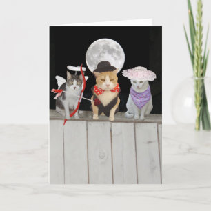 Funny Cats/Kitties Valentine Holiday Card