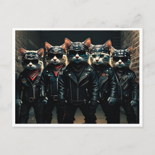 Funny cats. Postcard
