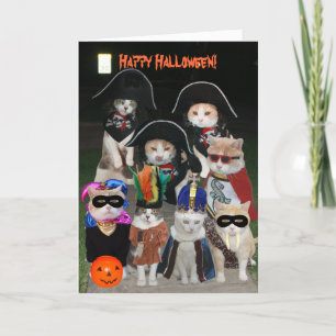 Funny Cats Prowling on Halloween Card
