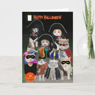 Funny Cats Prowling on Halloween Card