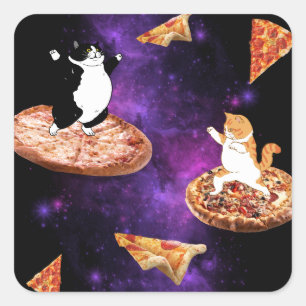 Funny cats riding pizza on space square sticker