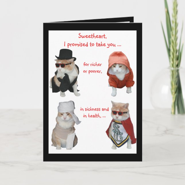 Funny Cats Valentine/Anniversary Holiday Card (Front)