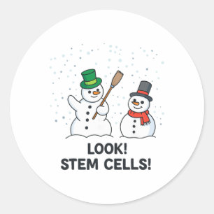 Funny Chemistry Christmas Science Teacher Look Ste Classic Round Sticker