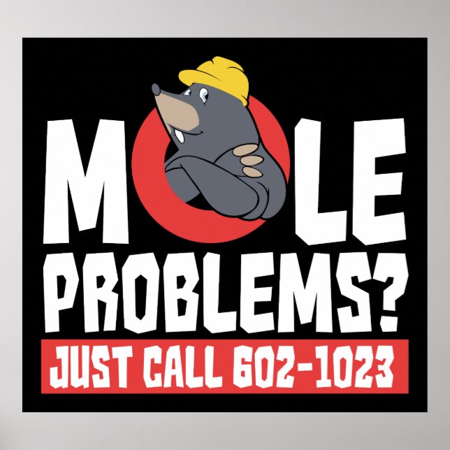 Funny Chemistry Teacher Mole Problem Gag Poster (Front)