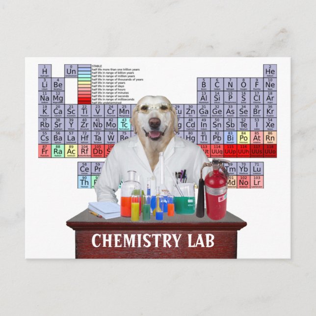 Funny Chemistry Teacher Postcard with Lab (Front)