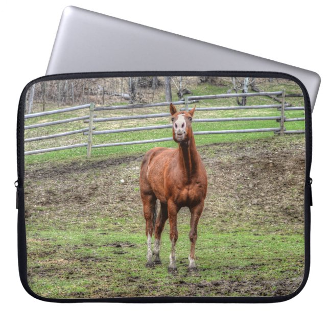 Funny Chestnut Stallion Horse Whinnying Photo Laptop Sleeve (Front)
