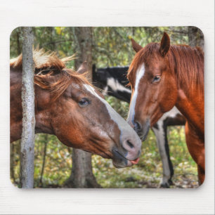 Funny Chestnut Stallion & Mare in a Forest Photo Mouse Pad