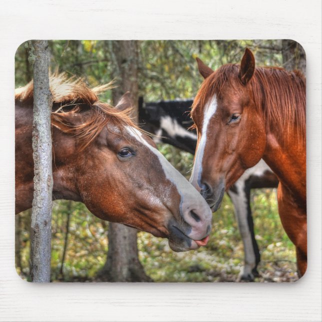 Funny Chestnut Stallion & Mare in a Forest Photo Mouse Pad (Front)