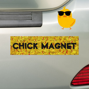 Funny CHICK MAGNET Joke Yellow Chicks Bumper Sticker