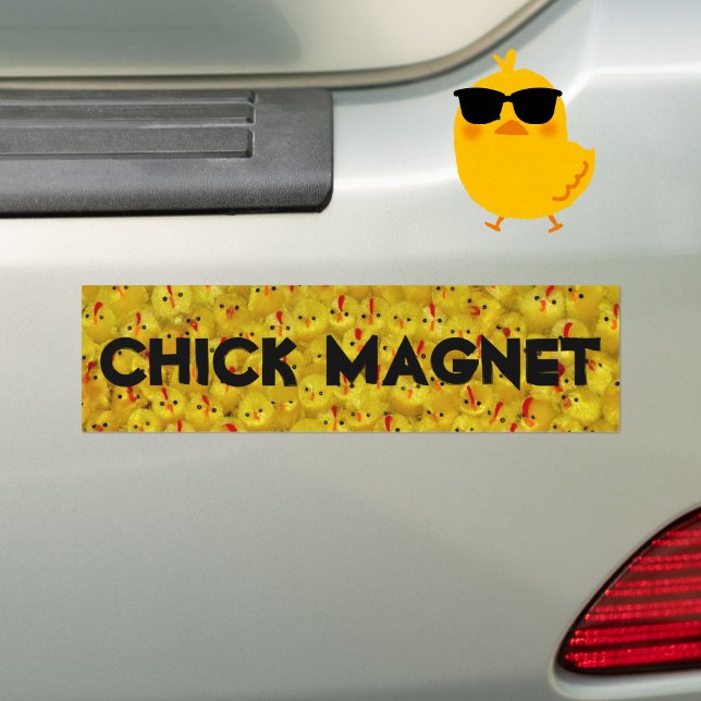 Funny CHICK MAGNET Joke Yellow Chicks Bumper Sticker (A funny bumper sticker for the chick magnet in your life!)