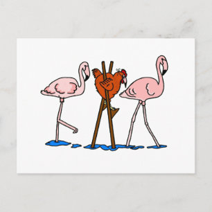 Funny Chicken and Flamingos Postcard