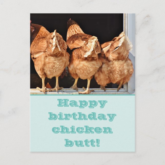 Funny Chicken Butt Birthday Postcard (Front)