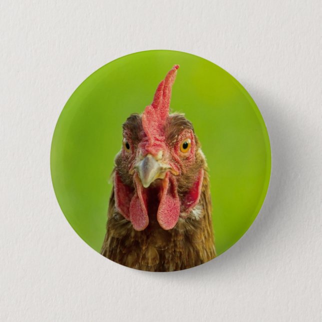 Funny Chicken - Button (Front)