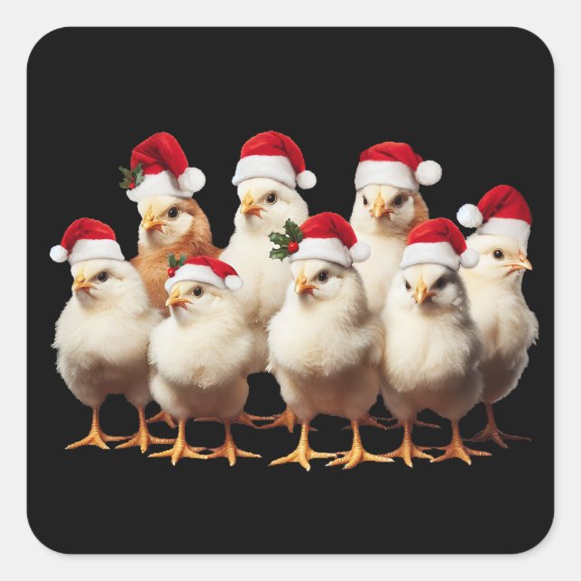 Funny Chicken Christmas, Xmas Animal Lover Gift Square Sticker (Front)
