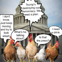 Funny Chicken Democrats Political Humour