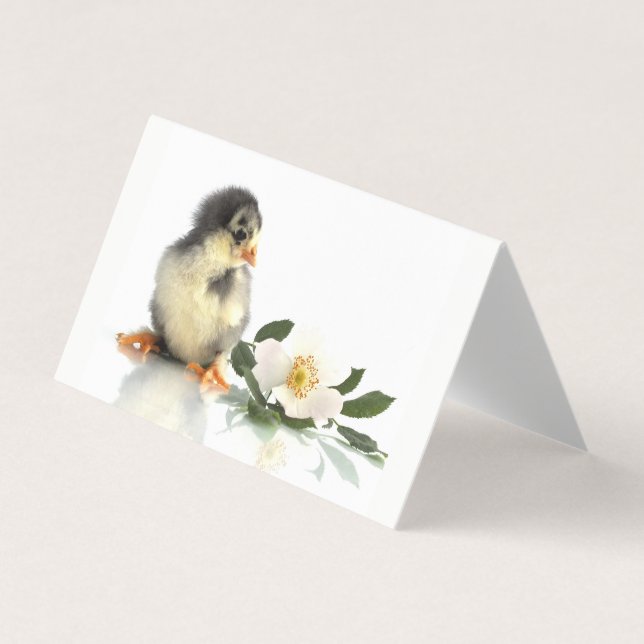 funny chicken · Folded Business Cards (Front)