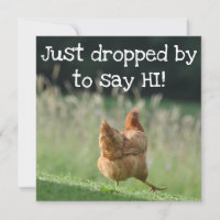 Funny Chicken Hello Quotes Say Hi Cute Farm Animal