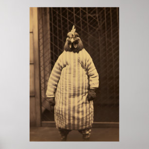 Funny Chicken in Prison Art Print Retro Animal