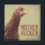 Funny Chicken Joke Mother Bucker Magnet<br><div class="desc">This is one nasty lookin' little red hen,  and she's full of mother buckin' attitude.  It must be that ginger in her.</div>