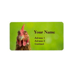 Funny Chicken on Green Label