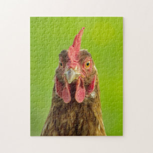 Funny Chicken - Photo Puzzle