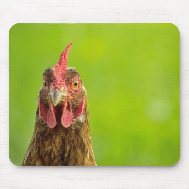 Funny Chicken Portrait - Mousepad (Front)