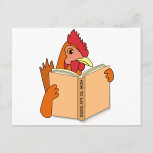 Funny Chicken Reading Book Cartoon Hen Postcard
