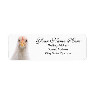 Funny Chicken Return Address Label