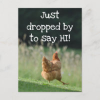 Funny Chicken Say Hi Cute Farm Animal Photo Custom