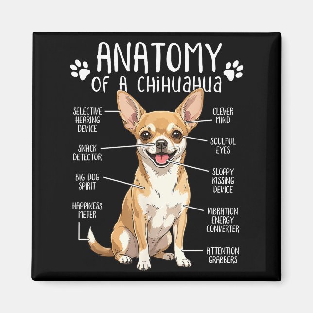 Funny Chihuahua Anatomy Of A Chihuahua Dog Owner P Magnet (Front)