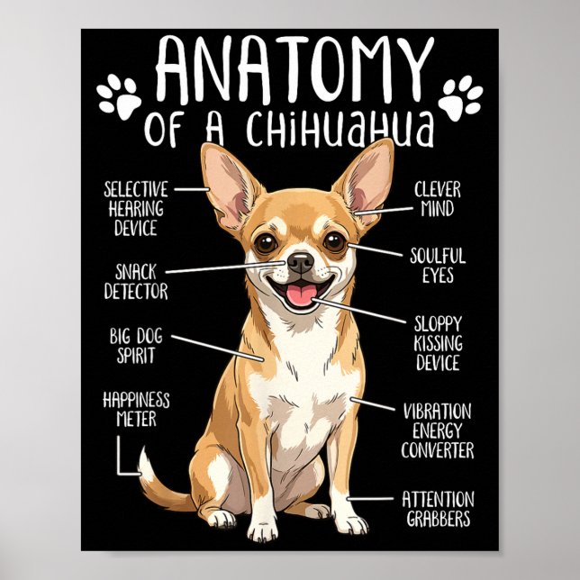 Funny Chihuahua Anatomy Of A Chihuahua Dog Owner P Poster (Front)