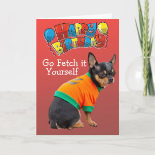 Funny Chihuahua dog birthday card