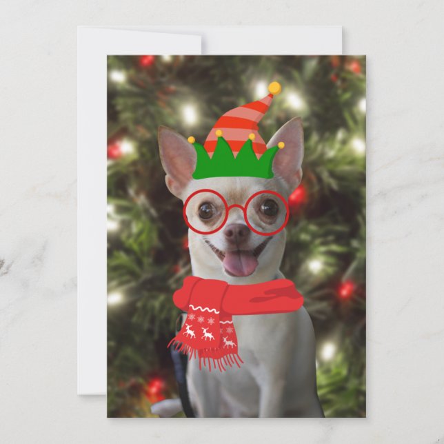 Funny Chihuahua Dog Pet Christmas  Holiday Card (Front)