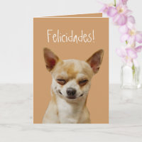 Funny Chihuahua Dog to Customise for a Birthday