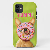 Funny Chihuahua Dog with Sprinkle Doughnut on Nose