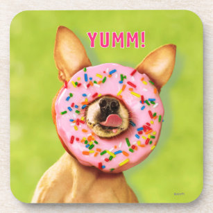 Funny Chihuahua Dog with Sprinkle Doughnut on Nose Coaster