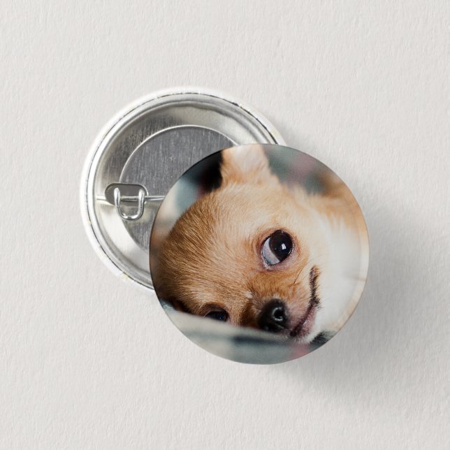 Funny Chihuahua Face 3 Cm Round Badge (Front & Back)